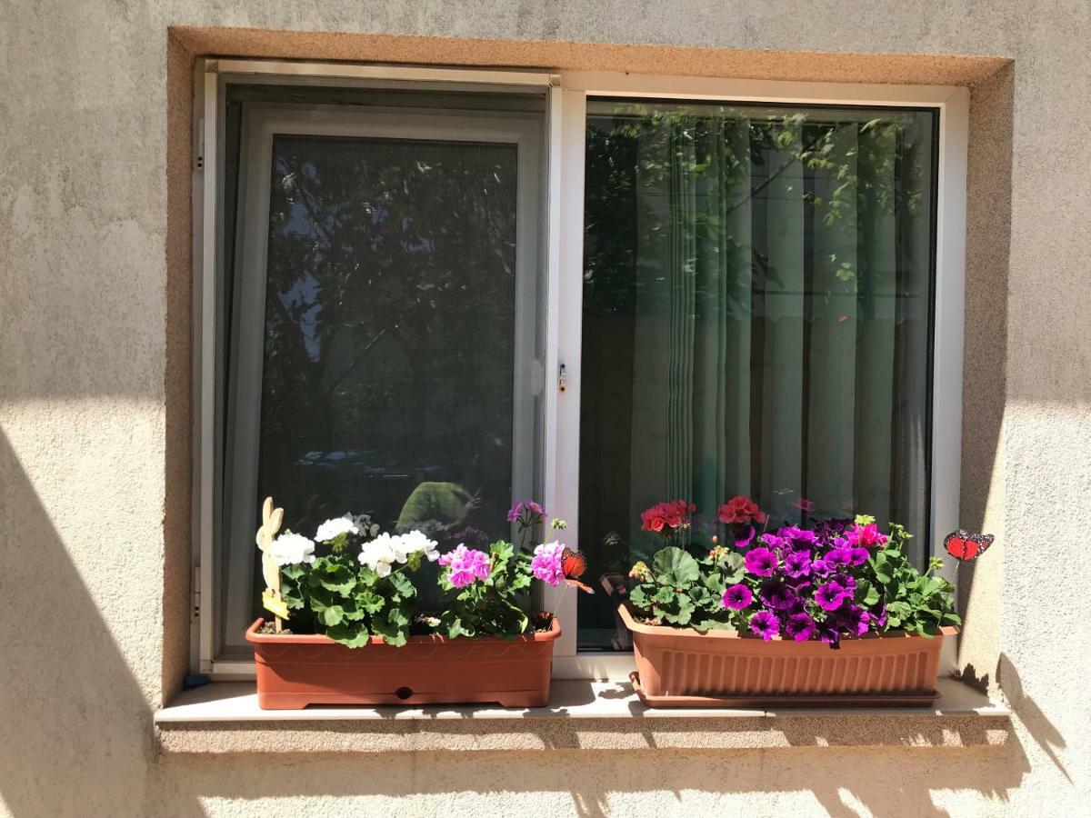Black Sea House Apartment Constanta Exterior photo